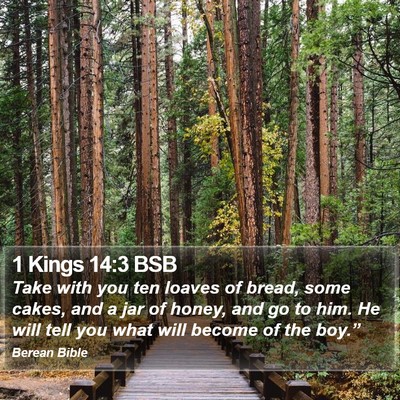 1 Kings 14:3 BSB Bible Verse Image