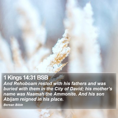 1 Kings 14:31 BSB Bible Verse Image