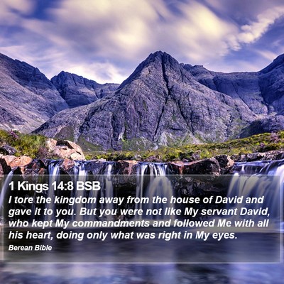 1 Kings 14:8 BSB Bible Verse Image