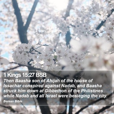 1 Kings 15:27 BSB Bible Verse Image