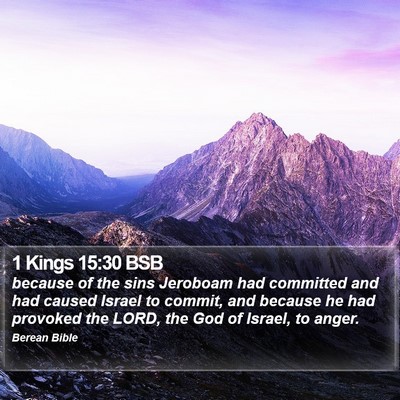 1 Kings 15:30 BSB Bible Verse Image
