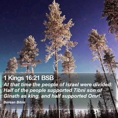 1 Kings 16:21 BSB Bible Verse Image