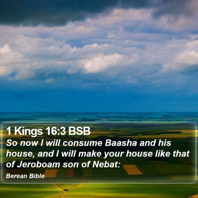1 Kings 16:3 BSB Bible Verse Image