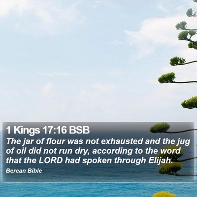 1 Kings 17:16 BSB Bible Verse Image
