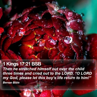 1 Kings 17:21 BSB Bible Verse Image