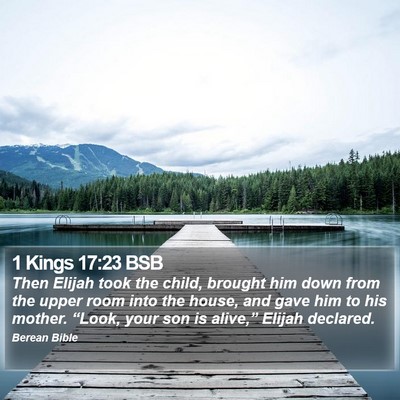 1 Kings 17:23 BSB Bible Verse Image