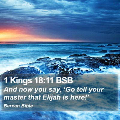 1 Kings 18:11 BSB Bible Verse Image
