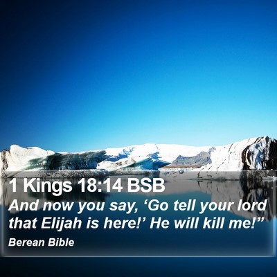 1 Kings 18:14 BSB Bible Verse Image