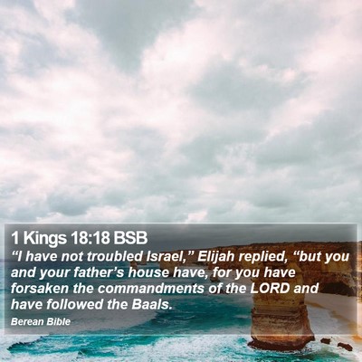 1 Kings 18:18 BSB Bible Verse Image