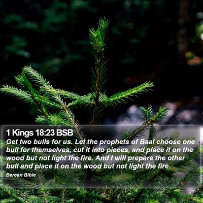 1 Kings 18:23 BSB Bible Verse Image