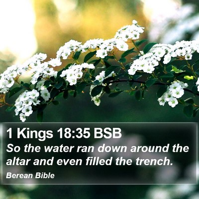 1 Kings 18:35 BSB Bible Verse Image