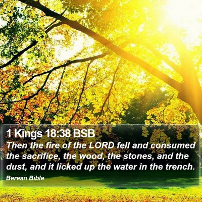 1 Kings 18:38 BSB Bible Verse Image