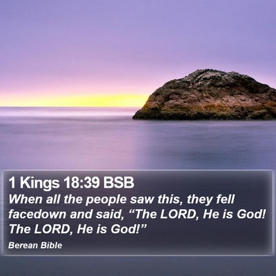 1 Kings 18:39 BSB Bible Verse Image