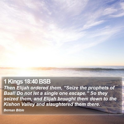 1 Kings 18:40 BSB Bible Verse Image
