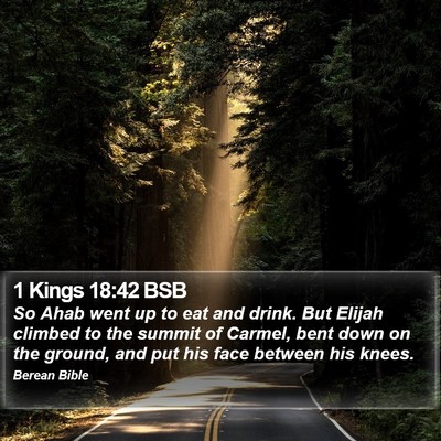 1 Kings 18:42 BSB Bible Verse Image