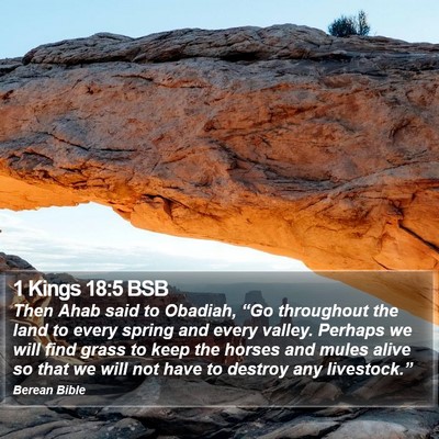 1 Kings 18:5 BSB Bible Verse Image