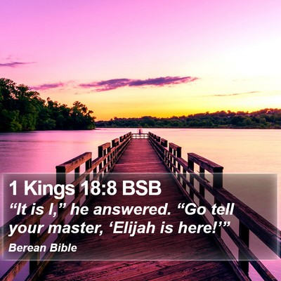 1 Kings 18:8 BSB Bible Verse Image