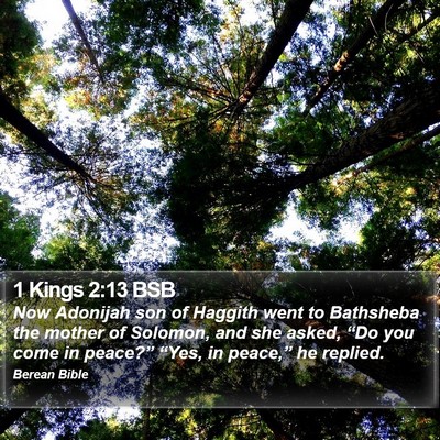 1 Kings 2:13 BSB Bible Verse Image