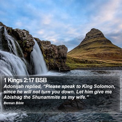 1 Kings 2:17 BSB Bible Verse Image