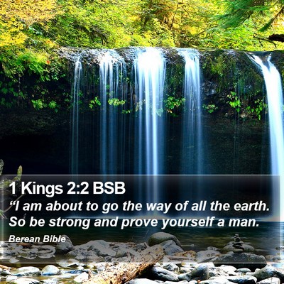 1 Kings 2:2 BSB Bible Verse Image