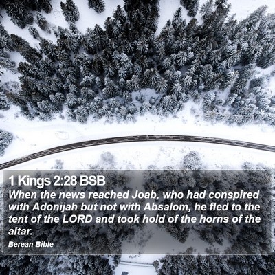 1 Kings 2:28 BSB Bible Verse Image