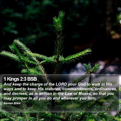 1 Kings 2:3 BSB Bible Verse Image