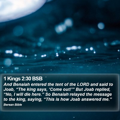 1 Kings 2:30 BSB Bible Verse Image