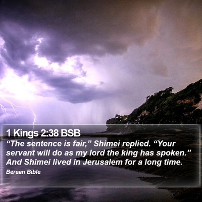 1 Kings 2:38 BSB Bible Verse Image