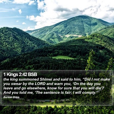 1 Kings 2:42 BSB Bible Verse Image