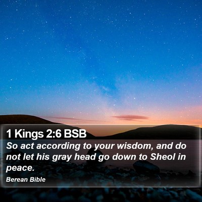1 Kings 2:6 BSB Bible Verse Image