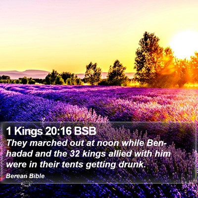 1 Kings 20:16 BSB Bible Verse Image