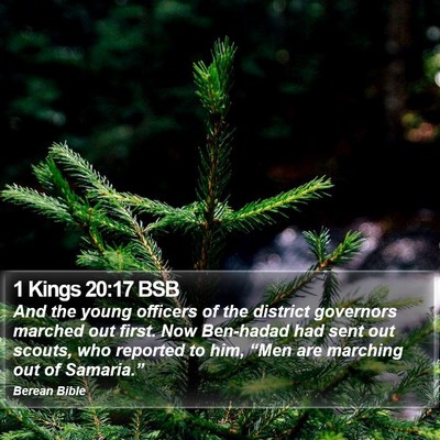 1 Kings 20:17 BSB Bible Verse Image