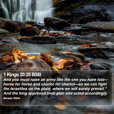 1 Kings 20:25 BSB Bible Verse Image