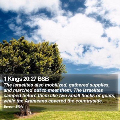 1 Kings 20:27 BSB Bible Verse Image