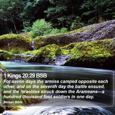 1 Kings 20:29 BSB Bible Verse Image