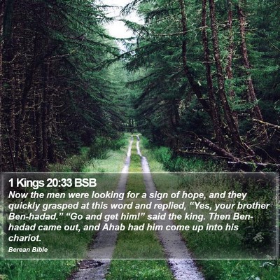 1 Kings 20:33 BSB Bible Verse Image