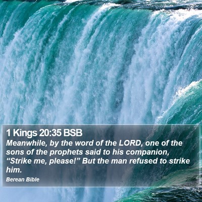 1 Kings 20:35 BSB Bible Verse Image