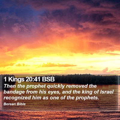 1 Kings 20:41 BSB Bible Verse Image