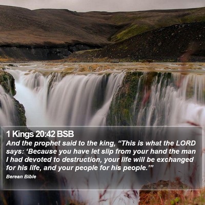 1 Kings 20:42 BSB Bible Verse Image
