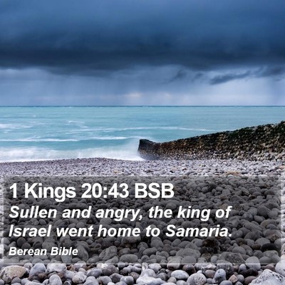 1 Kings 20:43 BSB Bible Verse Image