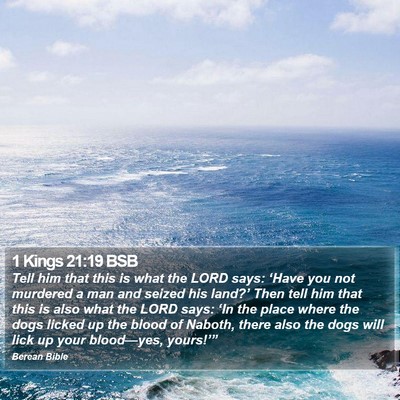1 Kings 21:19 BSB Bible Verse Image