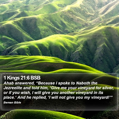 1 Kings 21:6 BSB Bible Verse Image