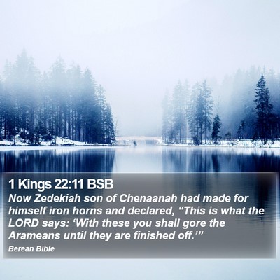 1 Kings 22:11 BSB Bible Verse Image