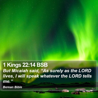 1 Kings 22:14 BSB Bible Verse Image