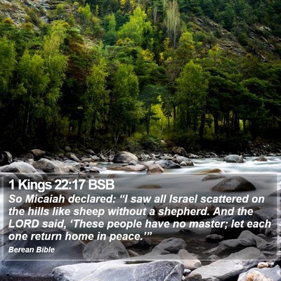 1 Kings 22:17 BSB Bible Verse Image