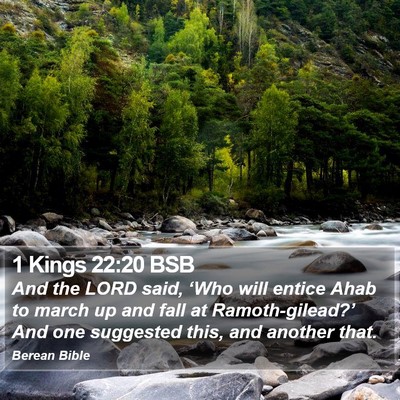 1 Kings 22:20 BSB Bible Verse Image
