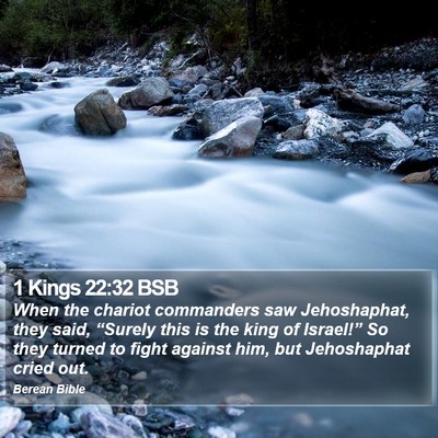 1 Kings 22:32 BSB Bible Verse Image