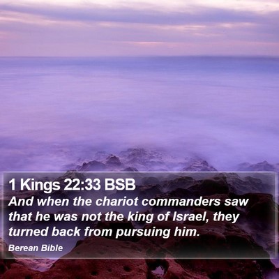 1 Kings 22:33 BSB Bible Verse Image