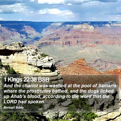 1 Kings 22:38 BSB Bible Verse Image