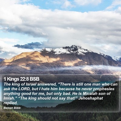 1 Kings 22:8 BSB Bible Verse Image